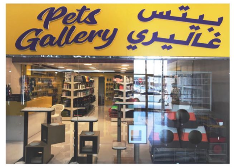 Pets Gallery