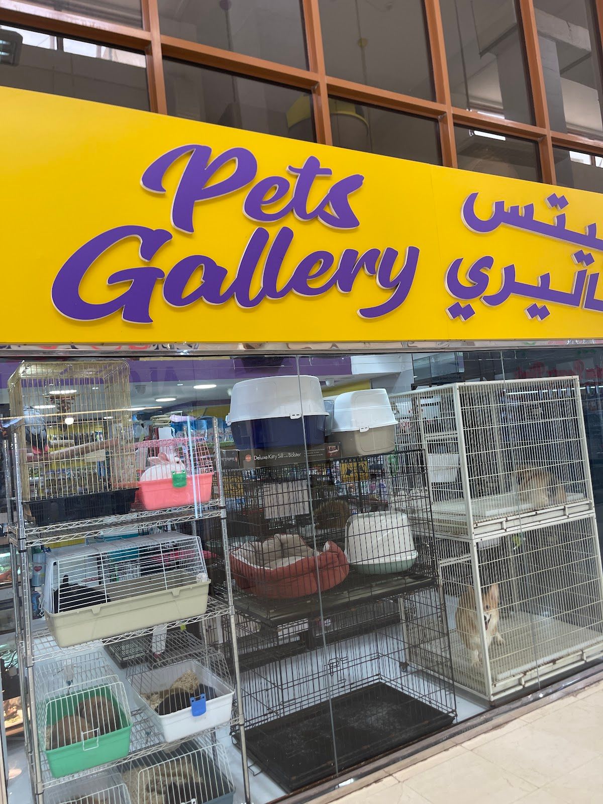 Pets Gallery 2