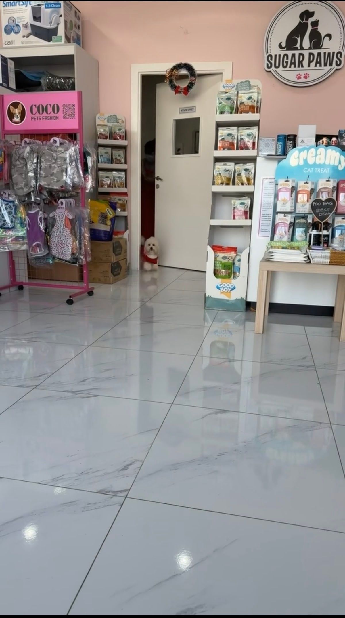 Sugar Paws Pet Salon L.L.C 3