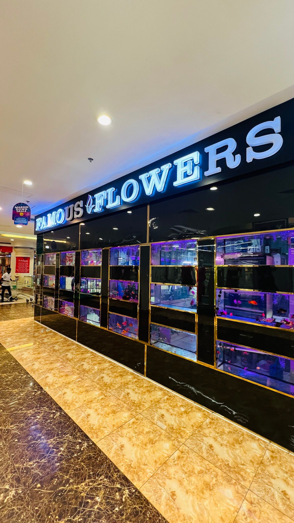 Famous Aquarium and Pets Dubai 2