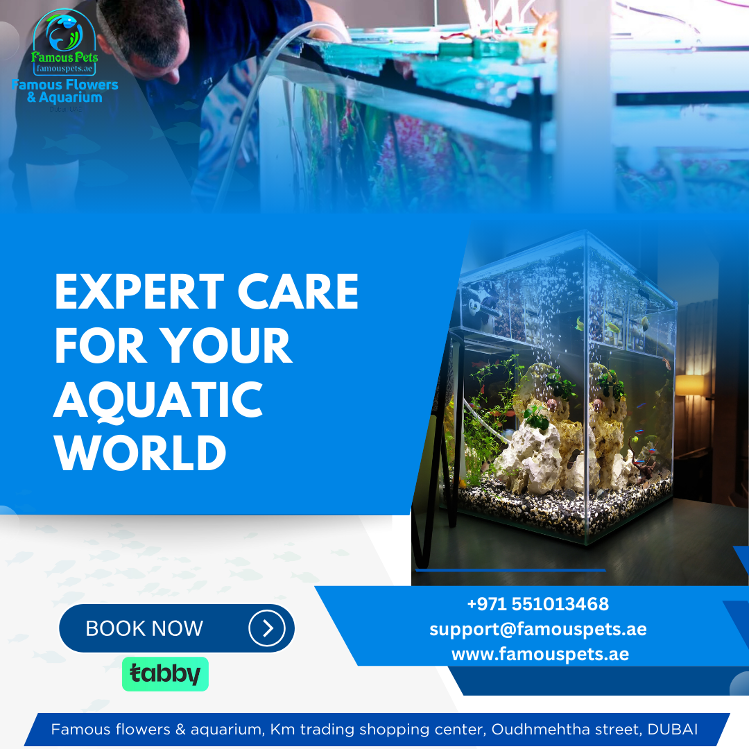 Famous Aquarium and Pets Dubai 3