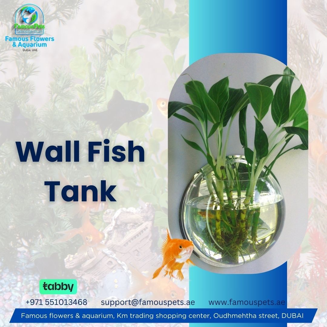 Famous Aquarium and Pets Dubai 4