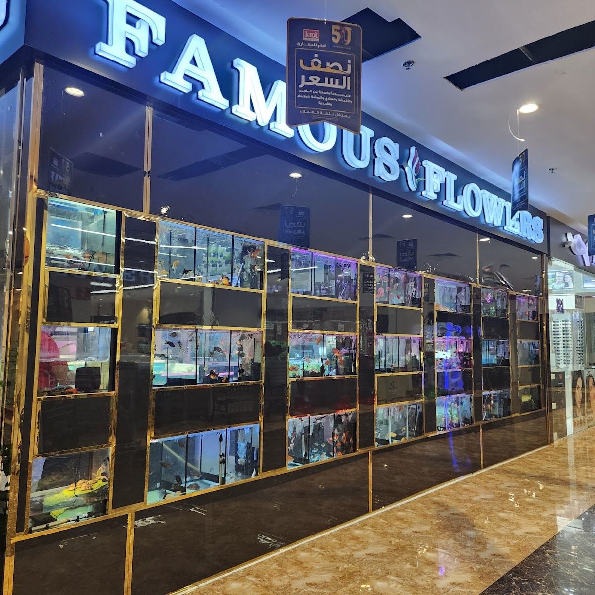 Famous Aquarium and Pets Dubai 5