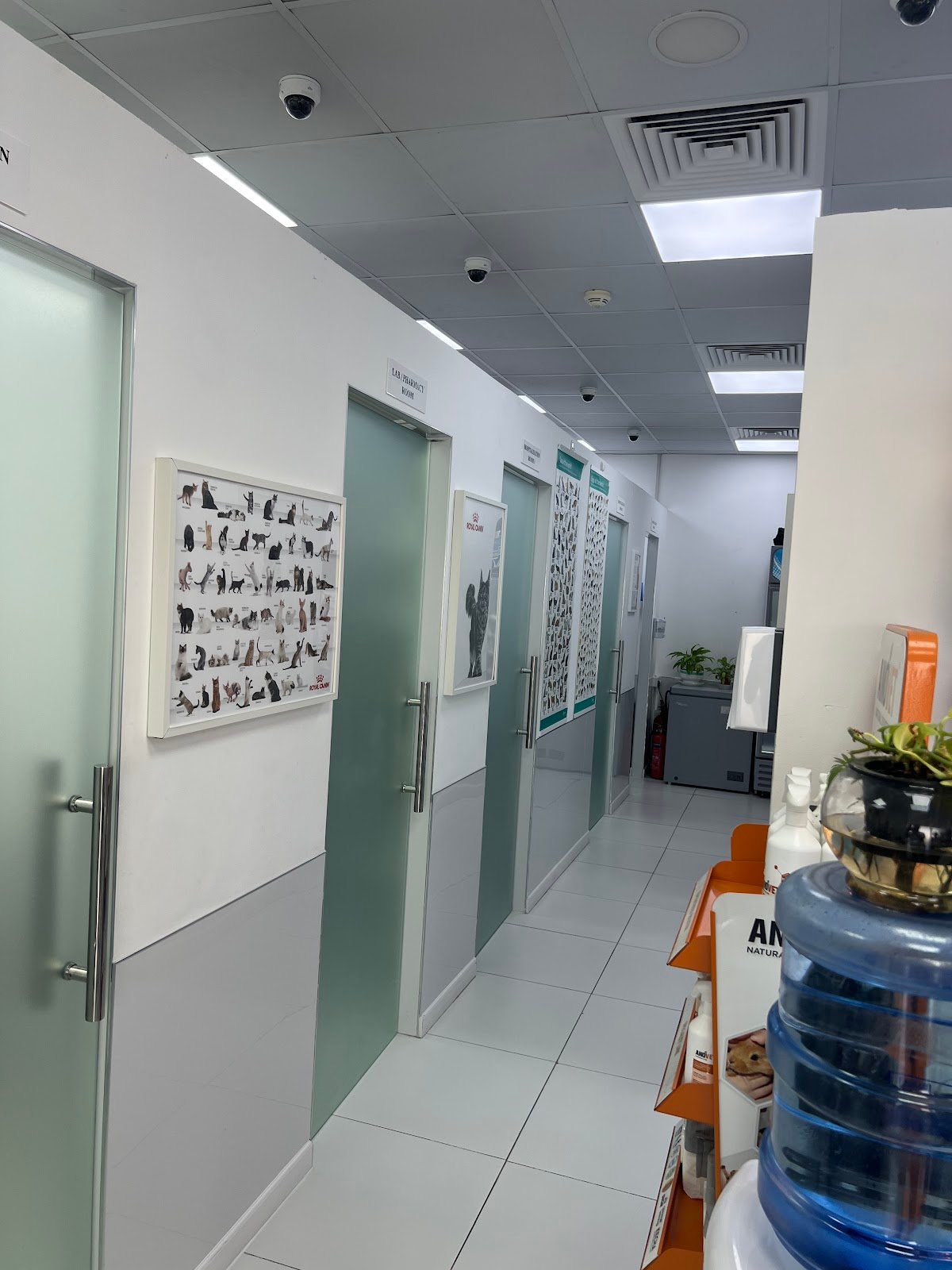 Paws Family Veterinary Clinic
