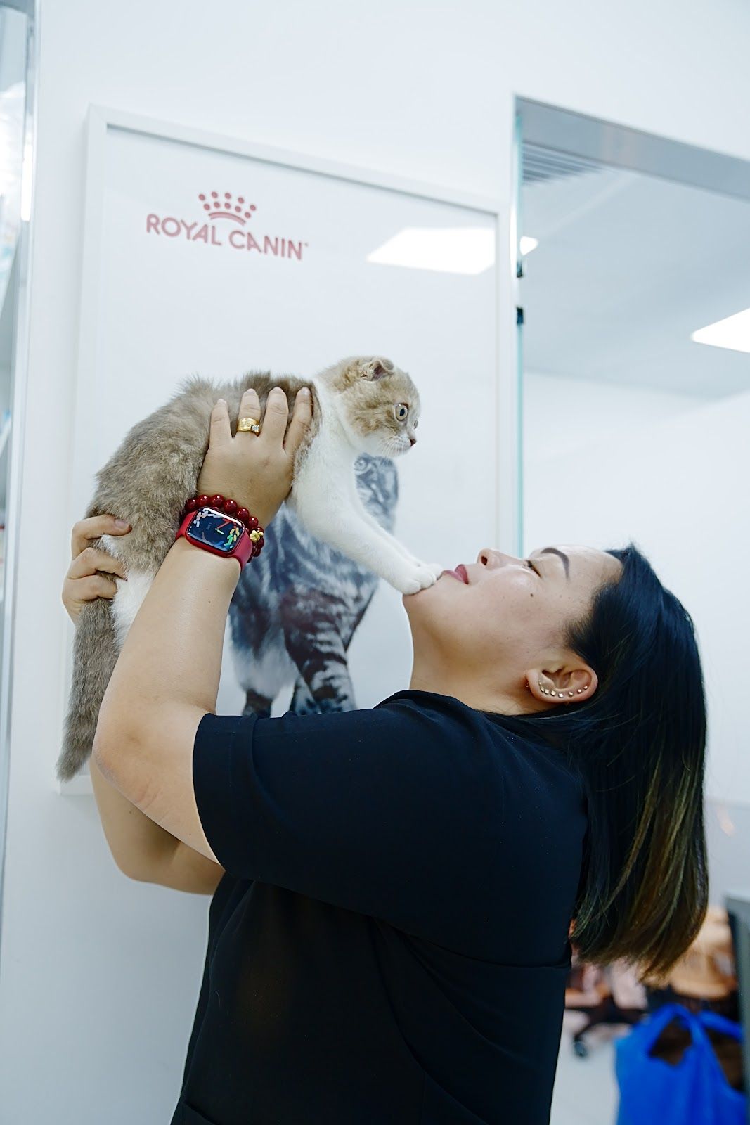 Paws Family Veterinary Clinic 3