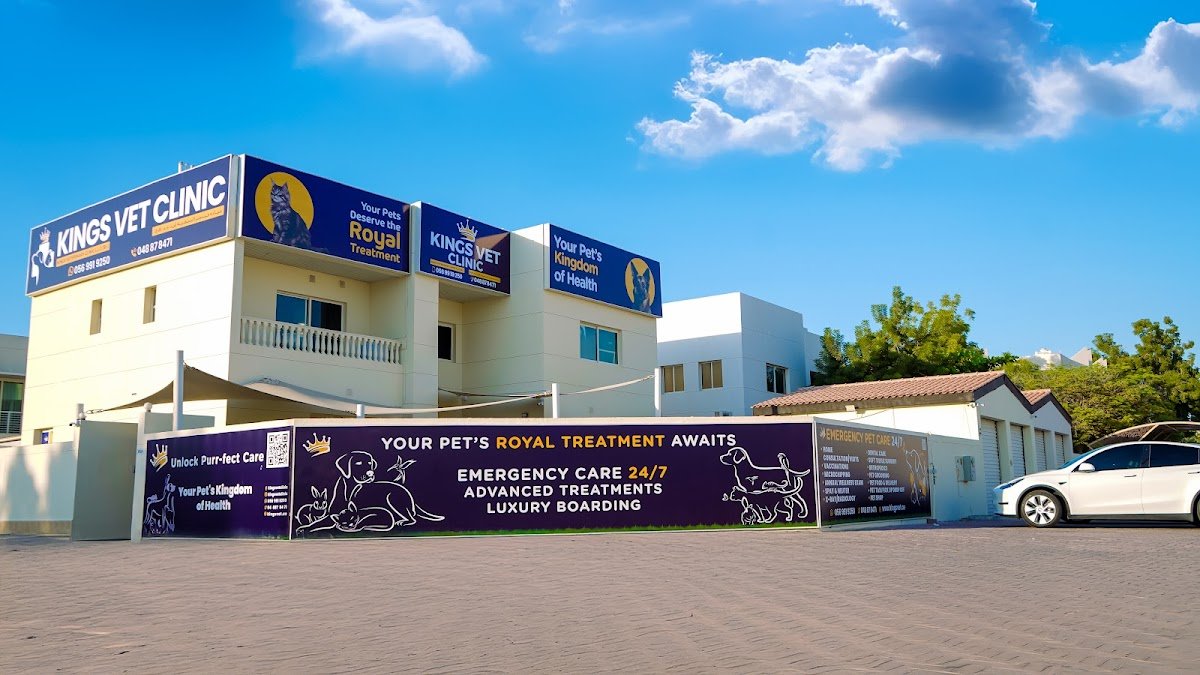 Kings Vet Clinic Al Wasl Jumeirah