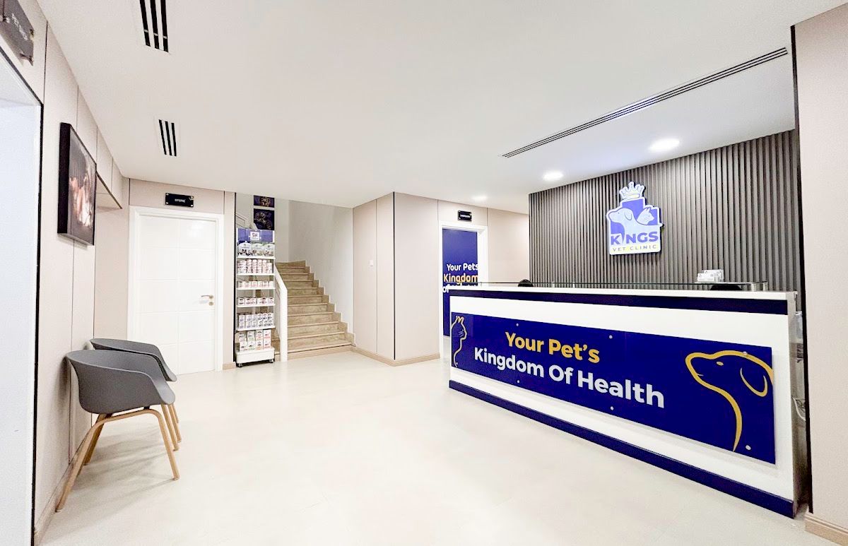 Kings Vet Clinic Al Wasl Jumeirah 2