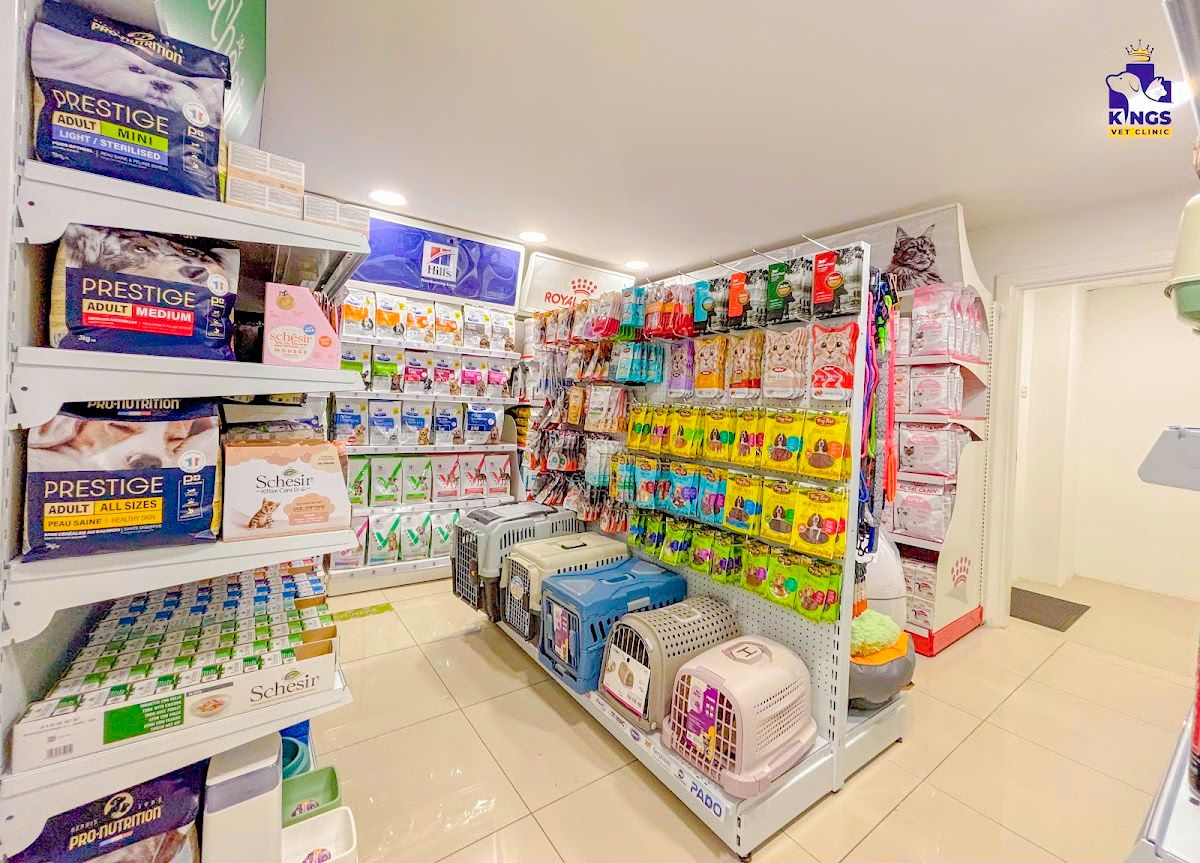 Kings Vet Clinic Al Wasl Jumeirah 3