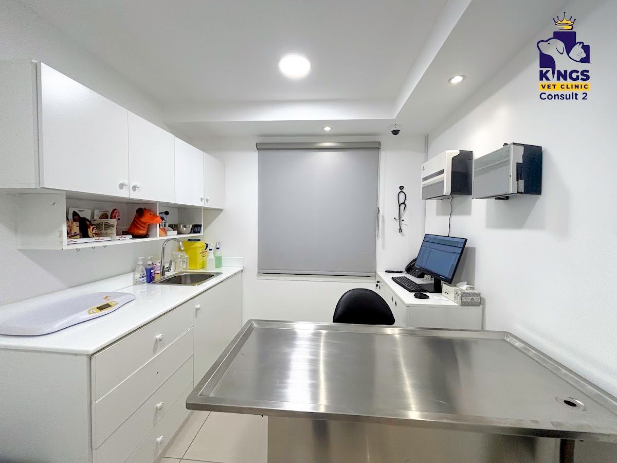 Kings Vet Clinic Al Wasl Jumeirah 5