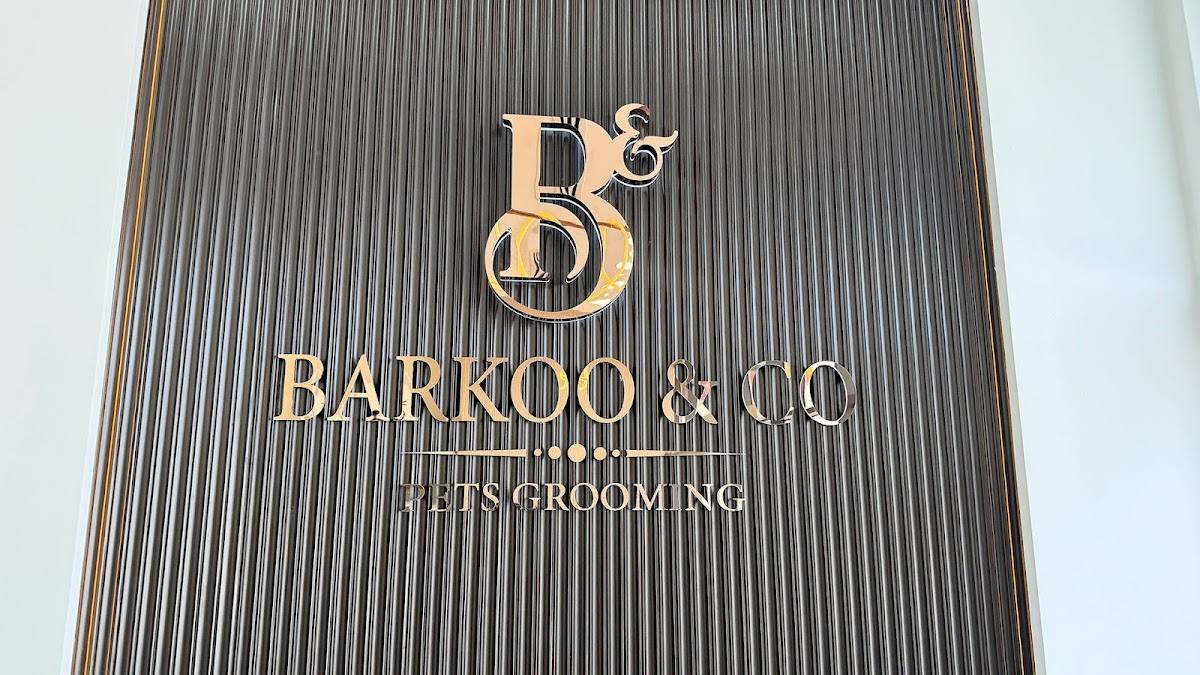 Barkoo & Co