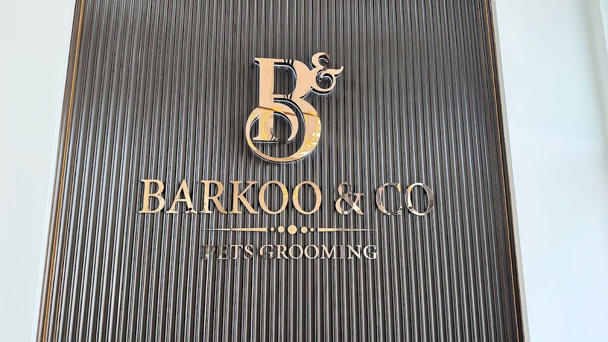 Barkoo & Co