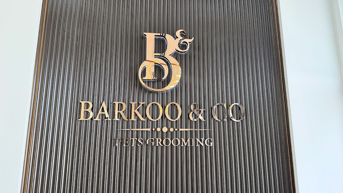 Barkoo & Co