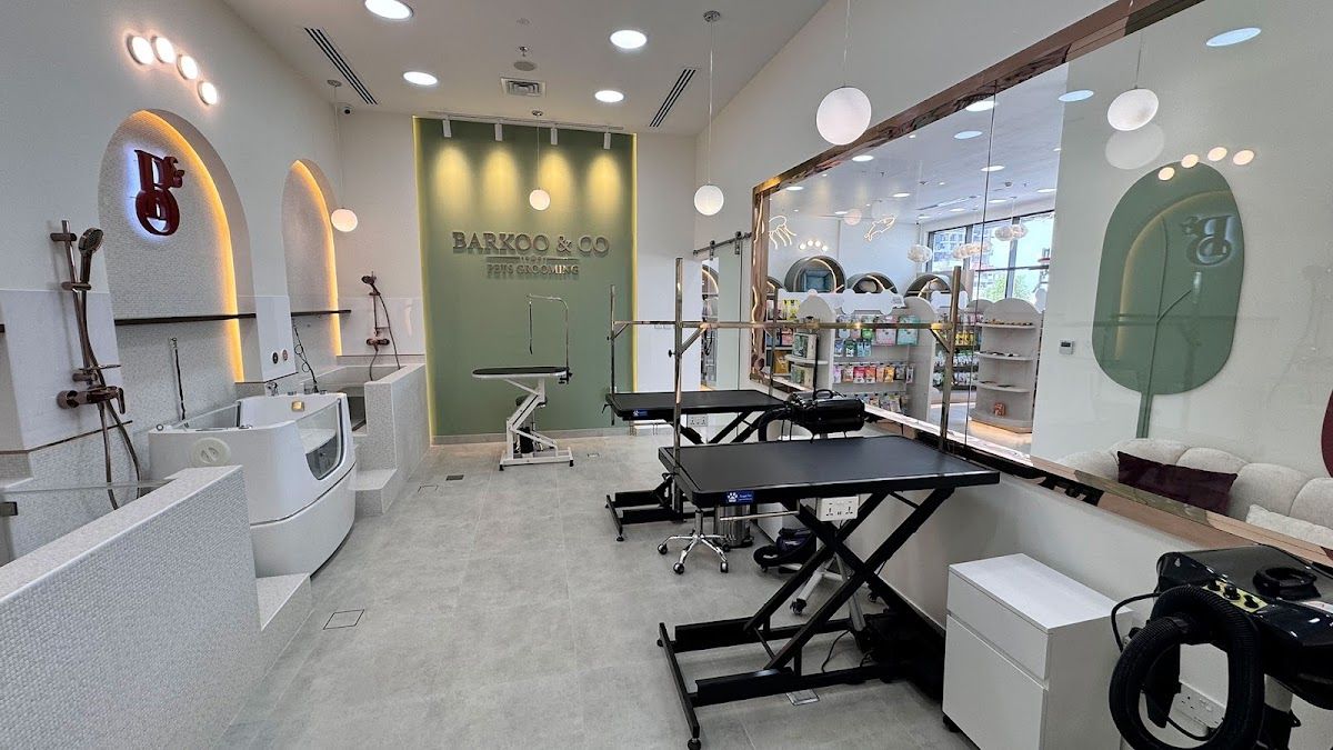 Barkoo & Co 4