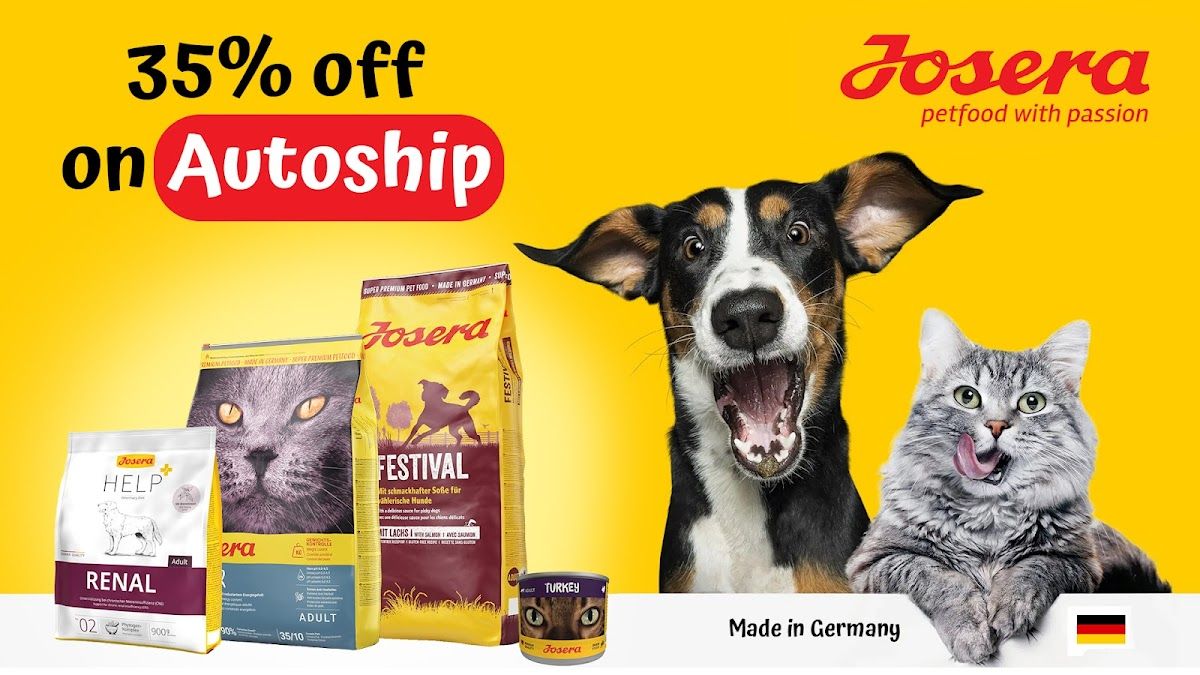 Pet Corner - Jumeirah Golf Estate Pet Shop 5