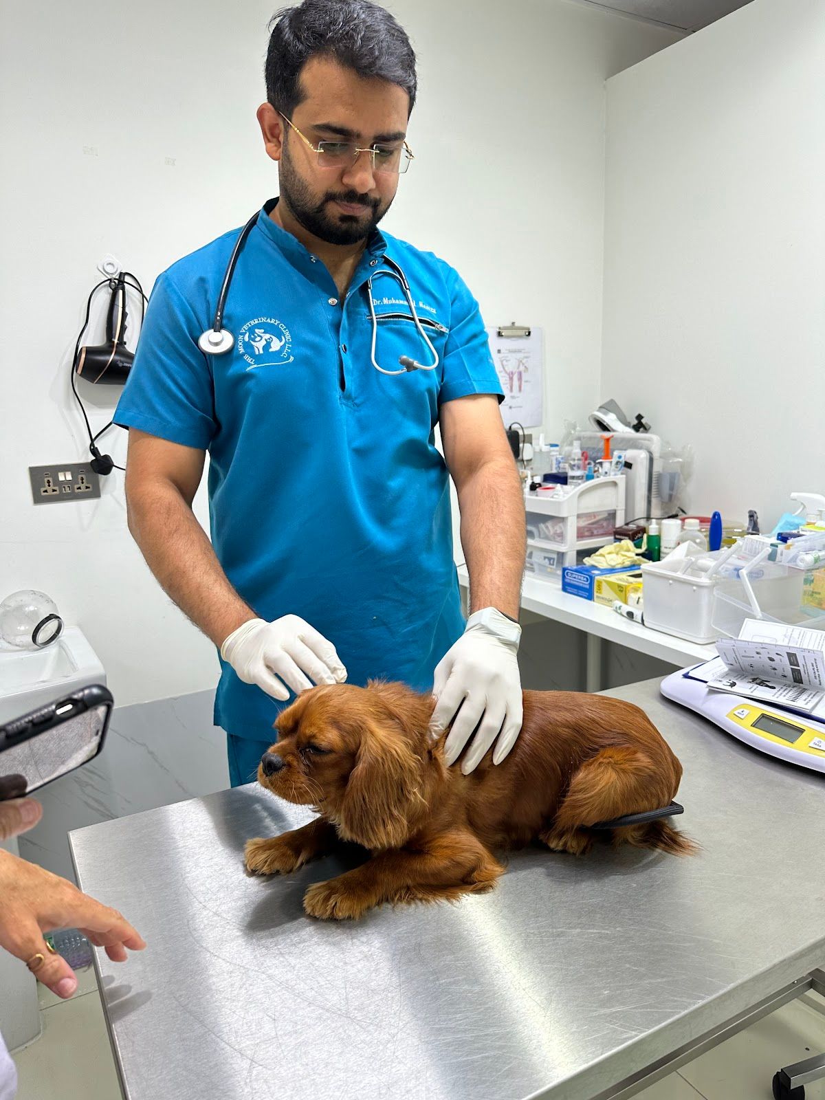 The Moon Veterinary Clinic LLC 2