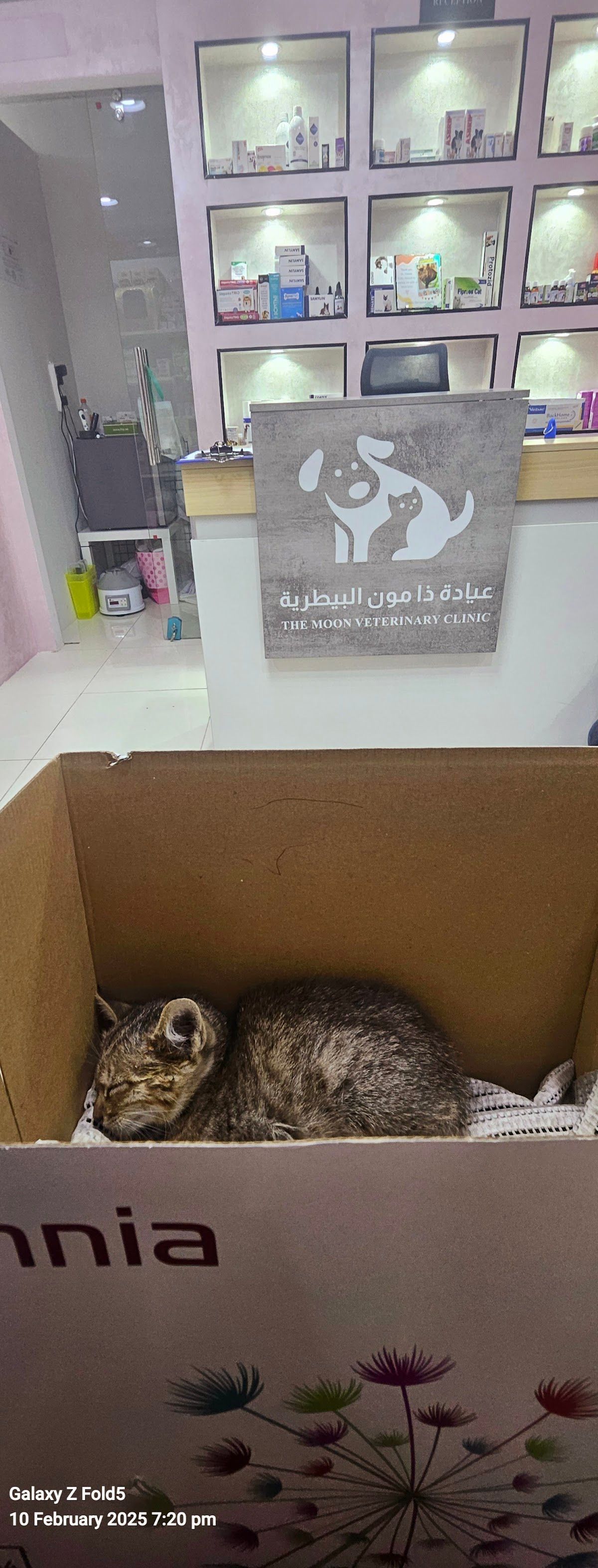 The Moon Veterinary Clinic LLC 3