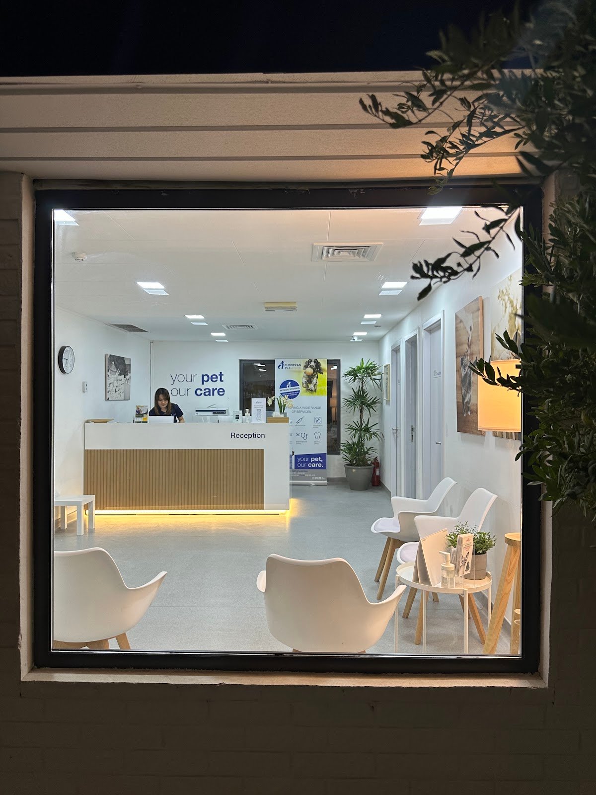 Noble Veterinary Clinic Jumeirah photo 2