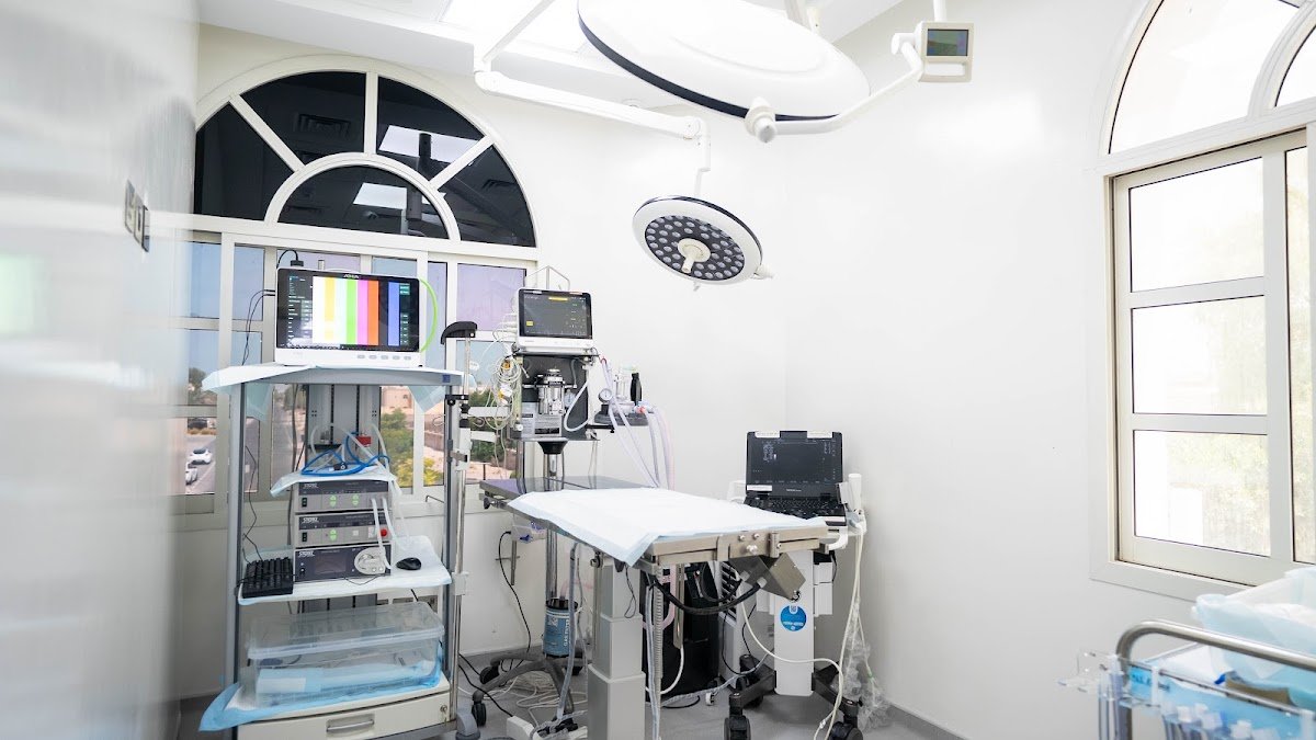 Modern Veterinary Clinic