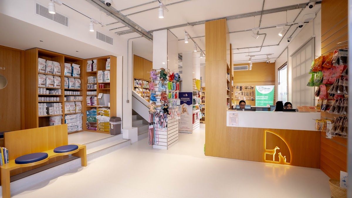Modern Veterinary Clinic 2