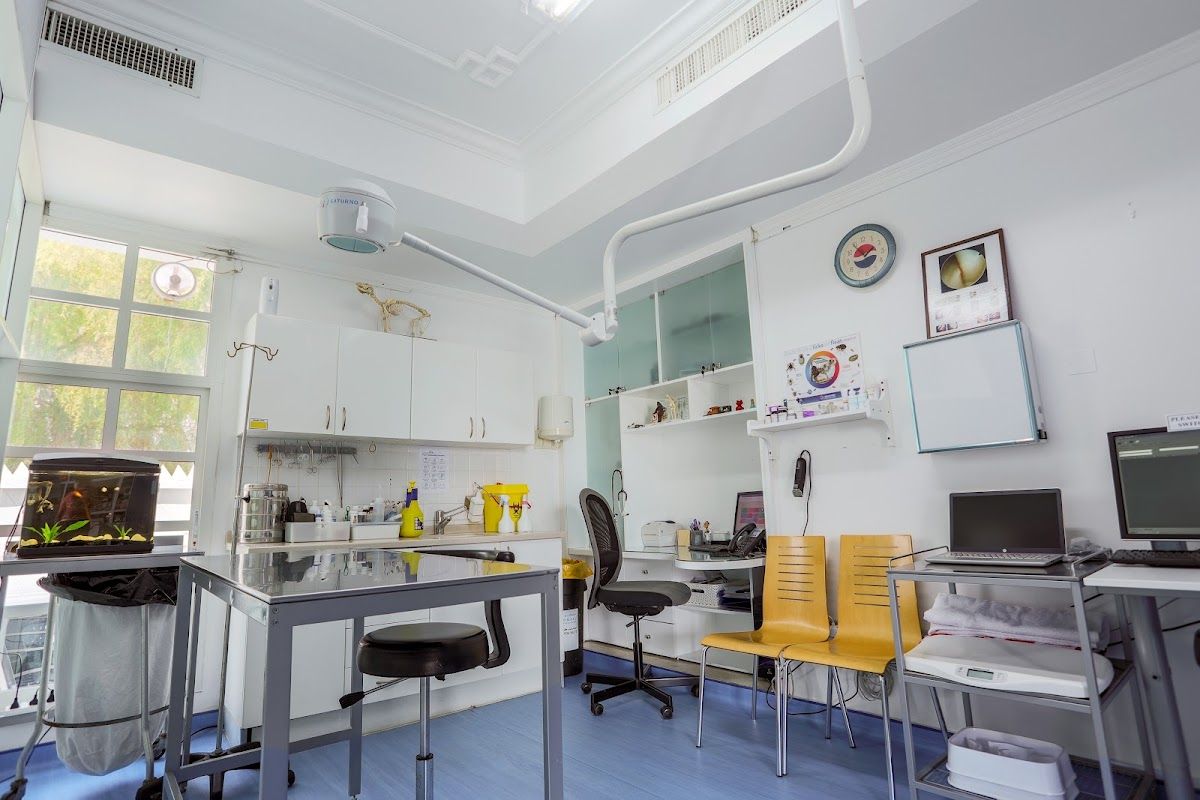 Modern Veterinary Clinic 3