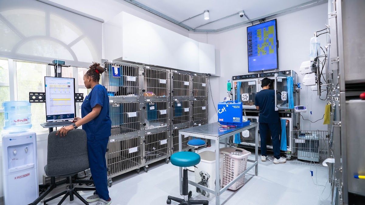 Modern Veterinary Clinic 4