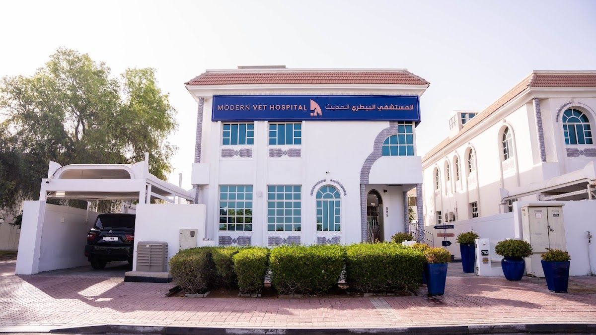 Modern Veterinary Clinic 5