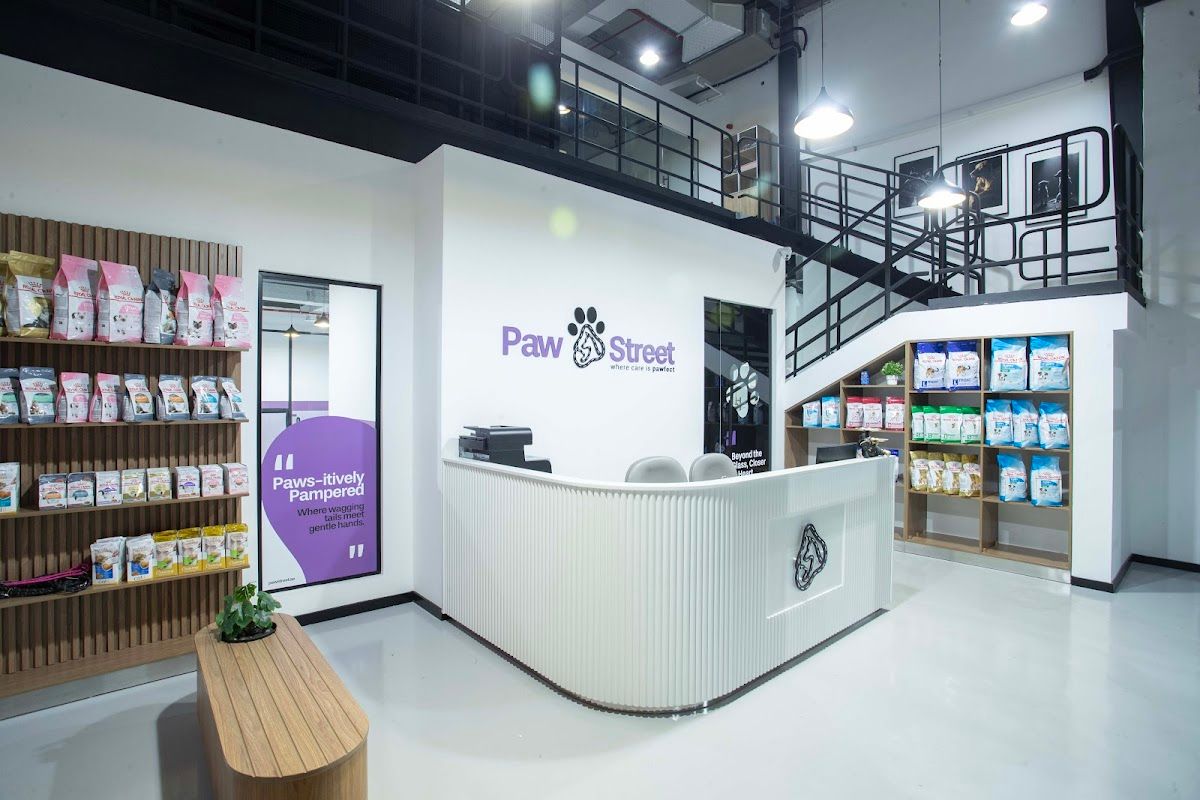 PAW STREET GROOMING | DAYCARE | BOARDING 3