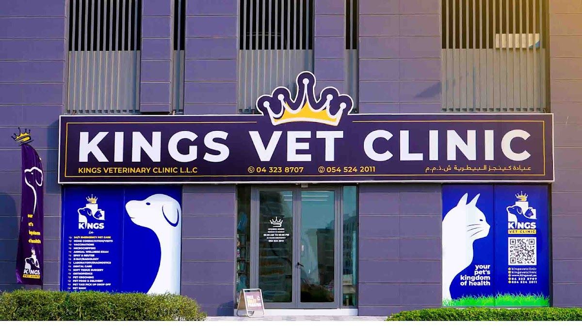 Kings Vet Clinic Al-Barari
