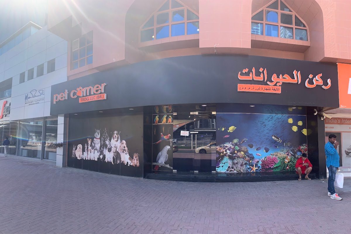 Pet Corner Dubai- Sheikh Zayed Road