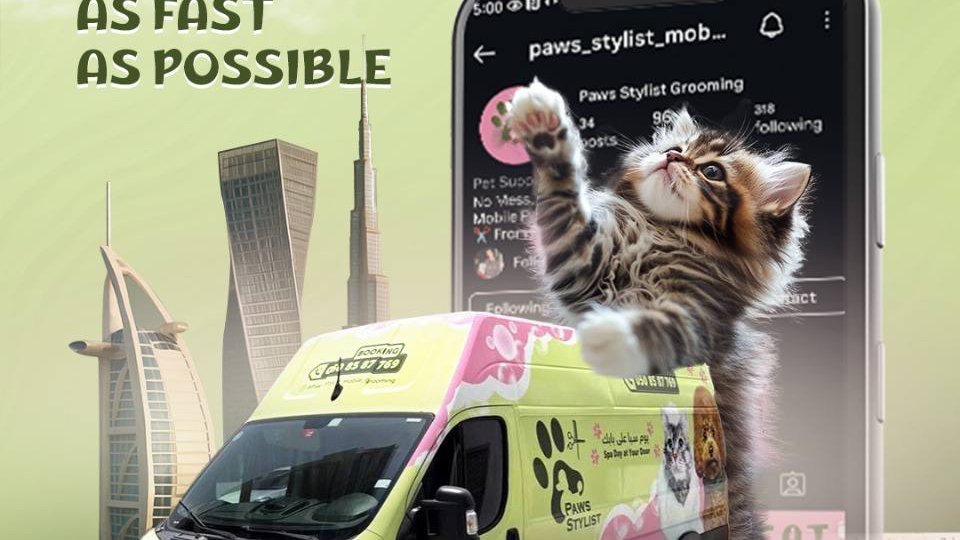 Paws Stylist Mobile Grooming Dubai