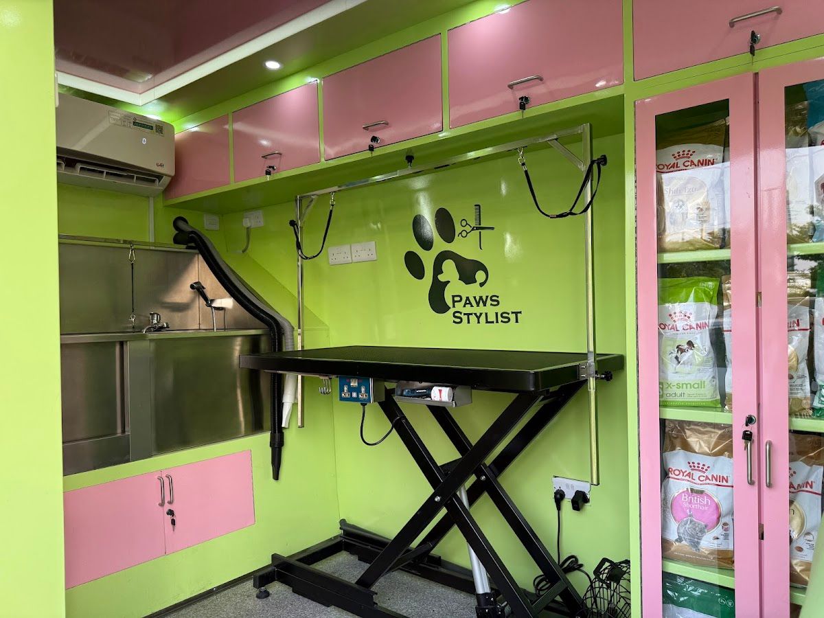 Paws Stylist Mobile Grooming Dubai 3