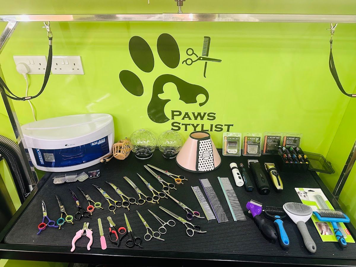 Paws Stylist Mobile Grooming Dubai 4