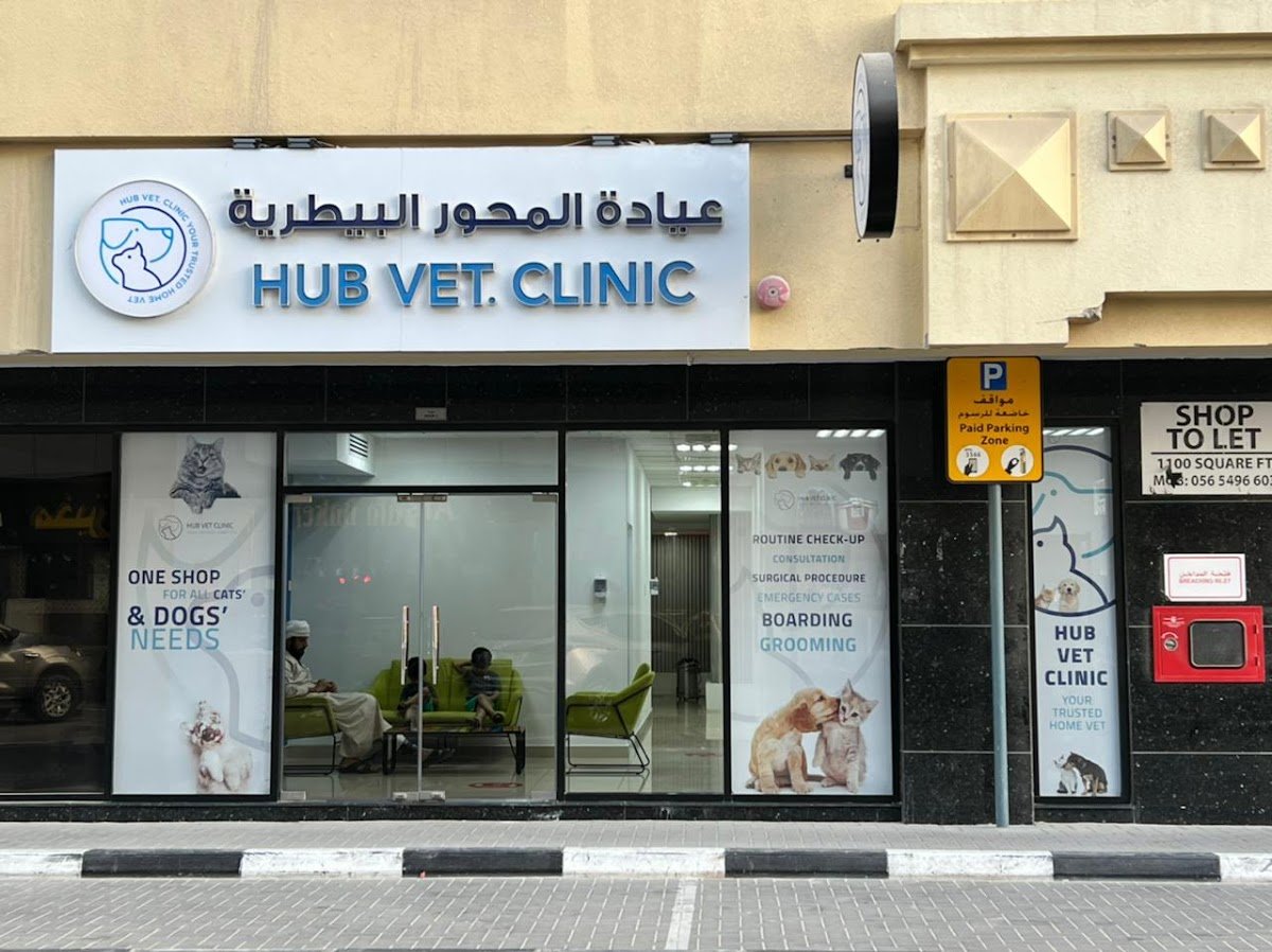 Hub Vet Clinic photo 2