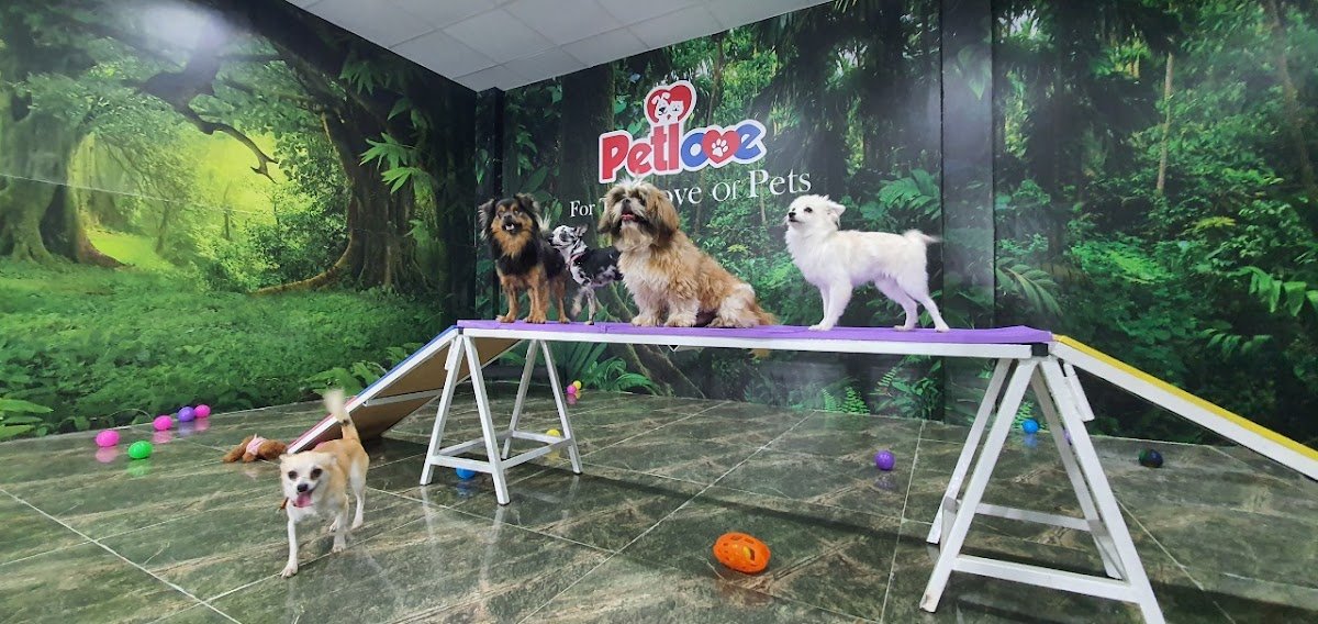 Petlove - Pet Boarding l Daycare l Pet Grooming l Pet Shop l Pet Taxi