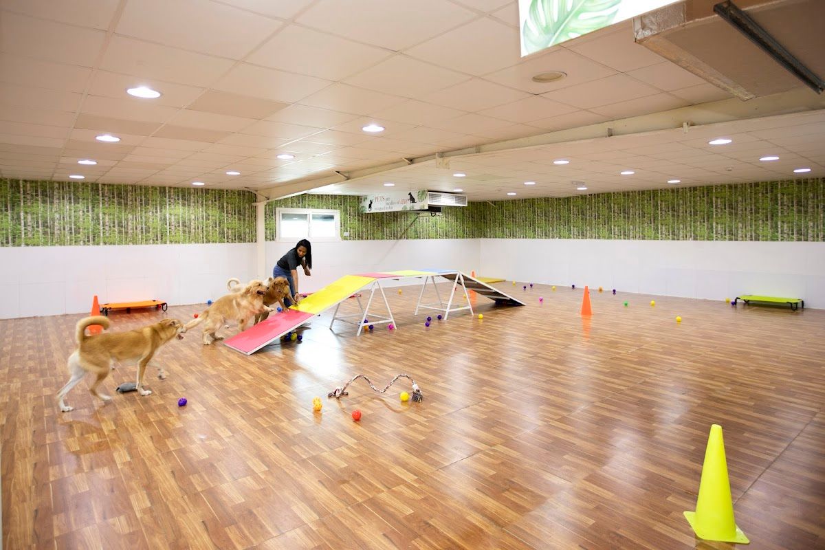 Petlove - Pet Boarding l Daycare l Pet Grooming l Pet Shop l Pet Taxi 4