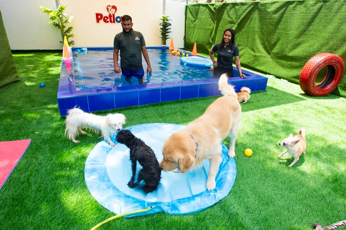 Petlove - Pet Boarding l Daycare l Pet Grooming l Pet Shop l Pet Taxi 5
