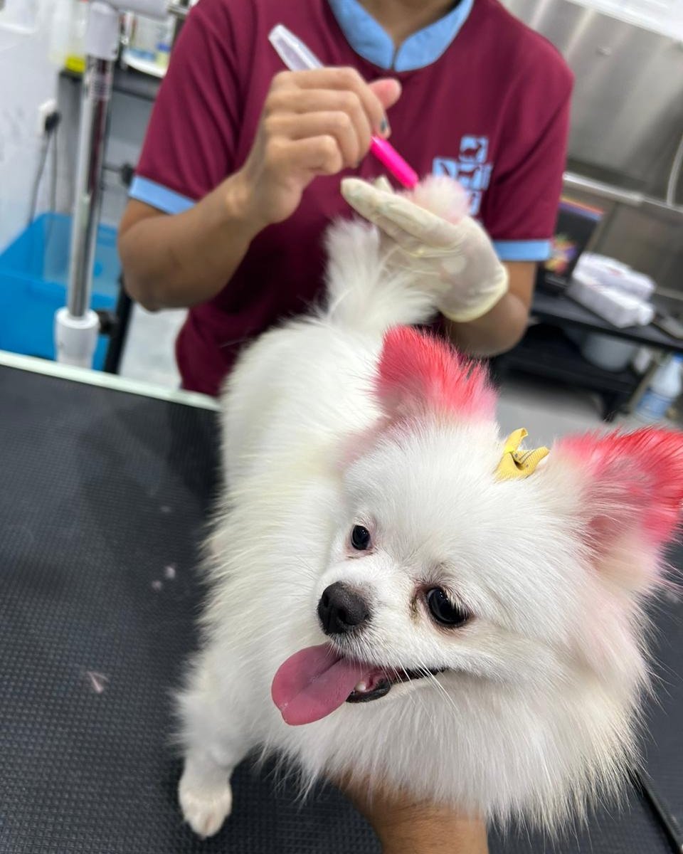 Pets'n Us Veterinary Clinic photo 2