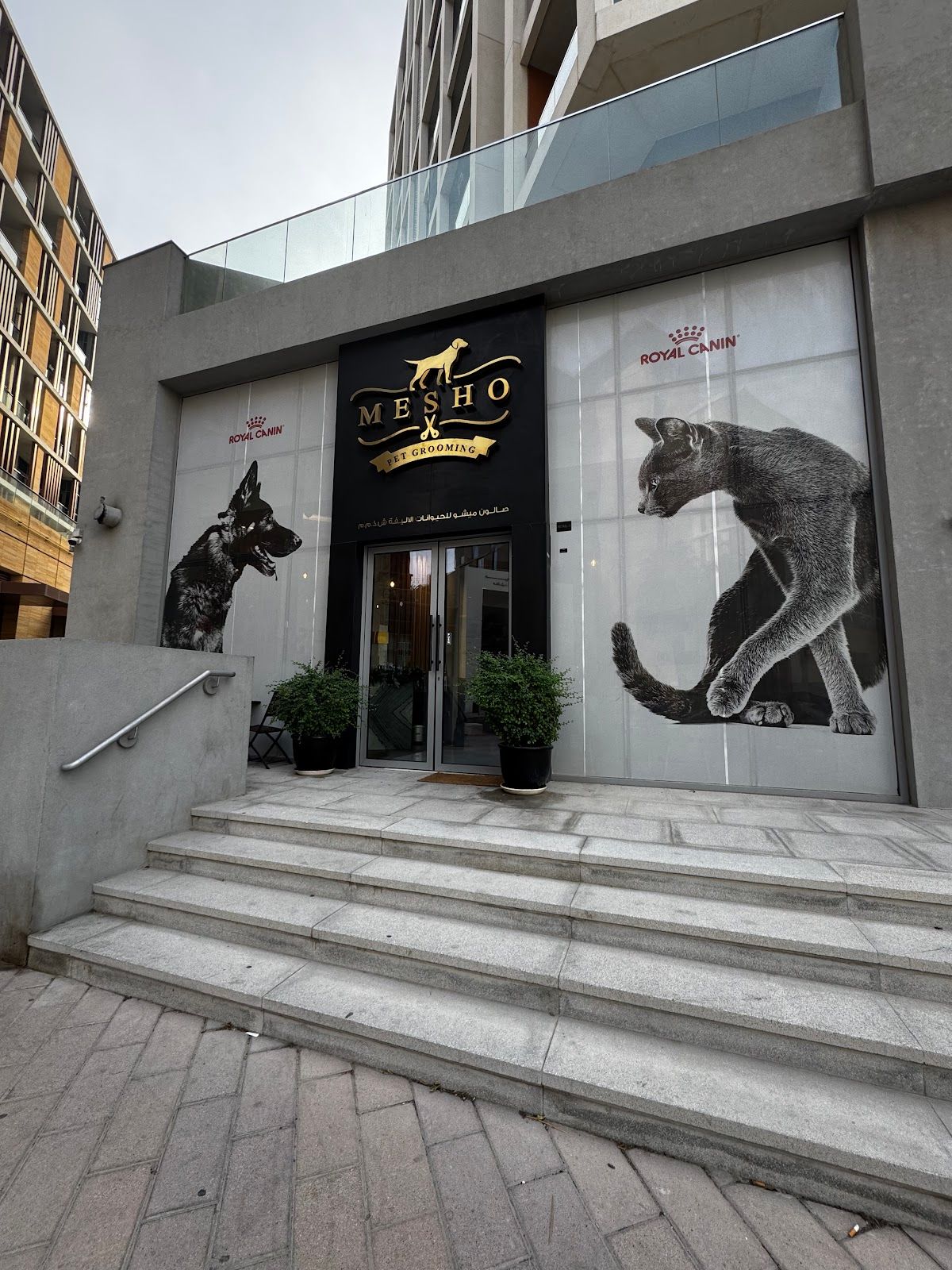 Mesho Pet Grooming Salon 3
