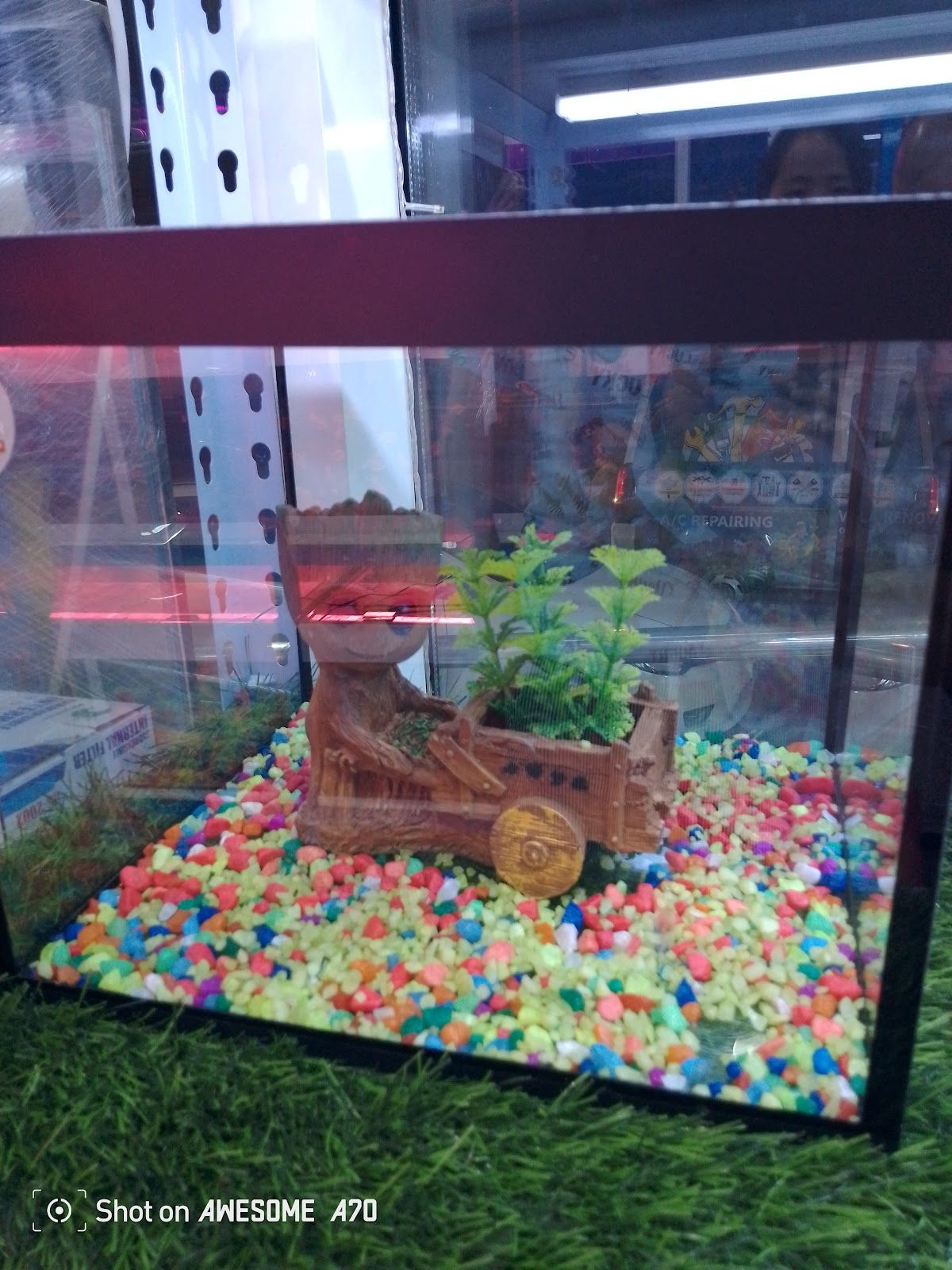 Pet wonder ornamental L.L.C 5
