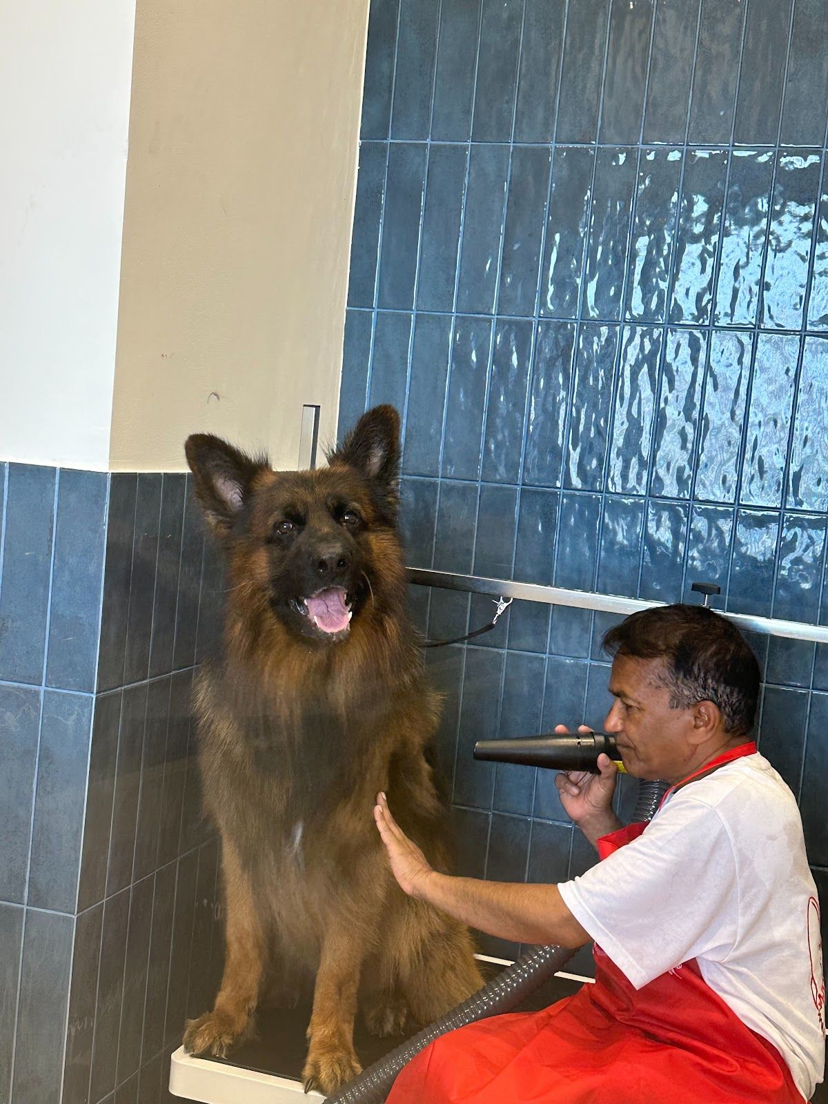 Ghosties Pet Grooming 2