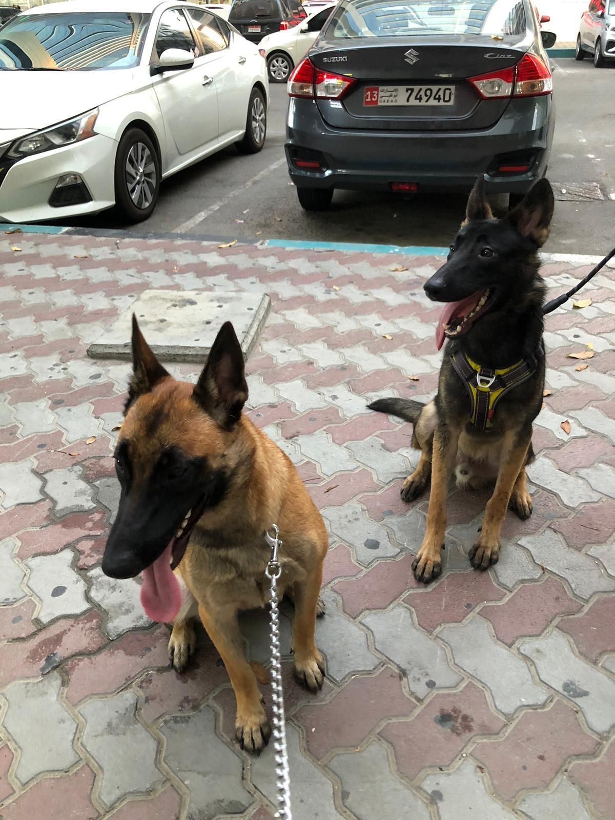 VYOM k9 5