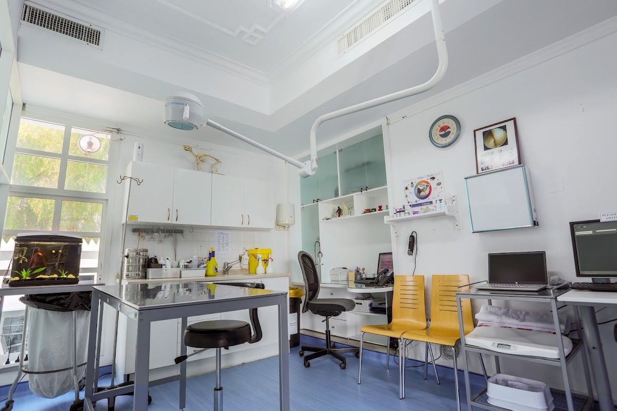 Modern Vet Hospital 3