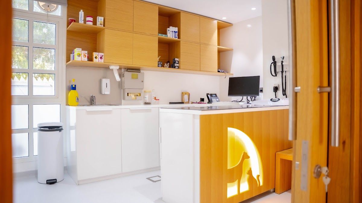 Modern Vet Hospital 5