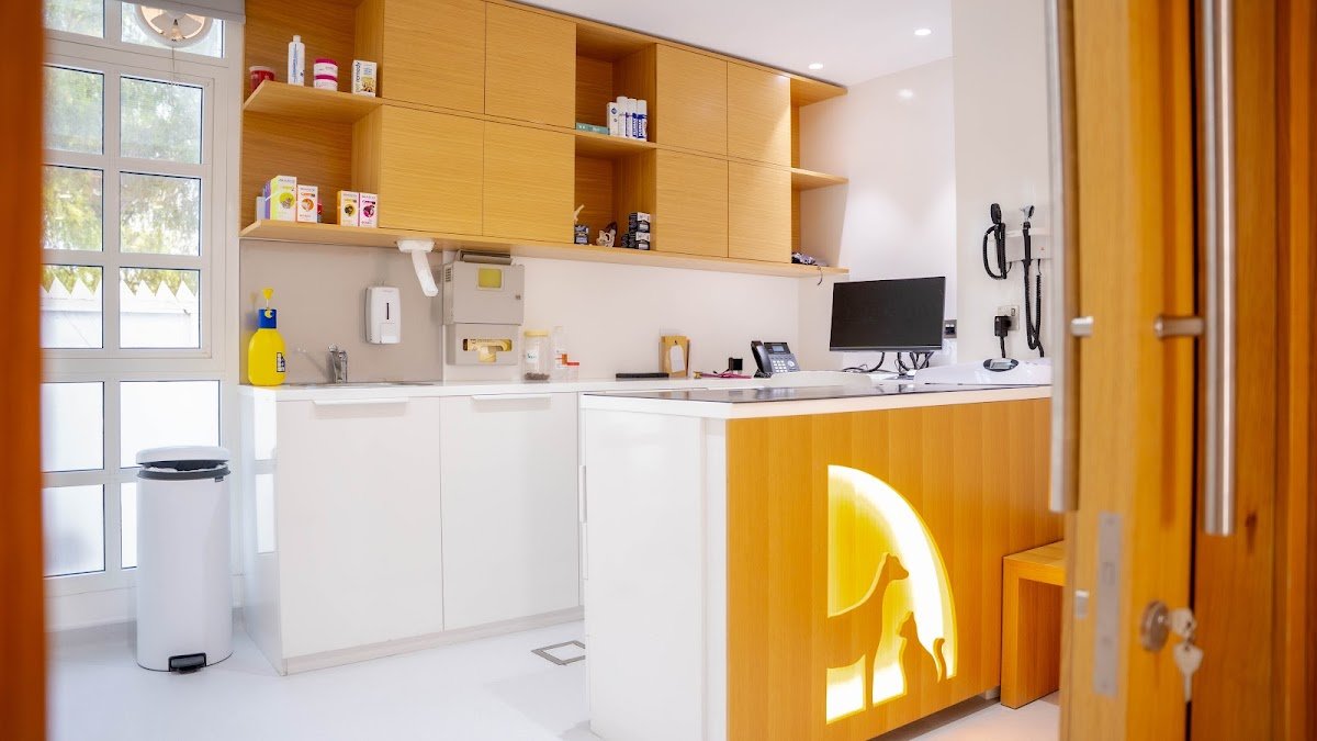 Modern Vet Hospital photo 5