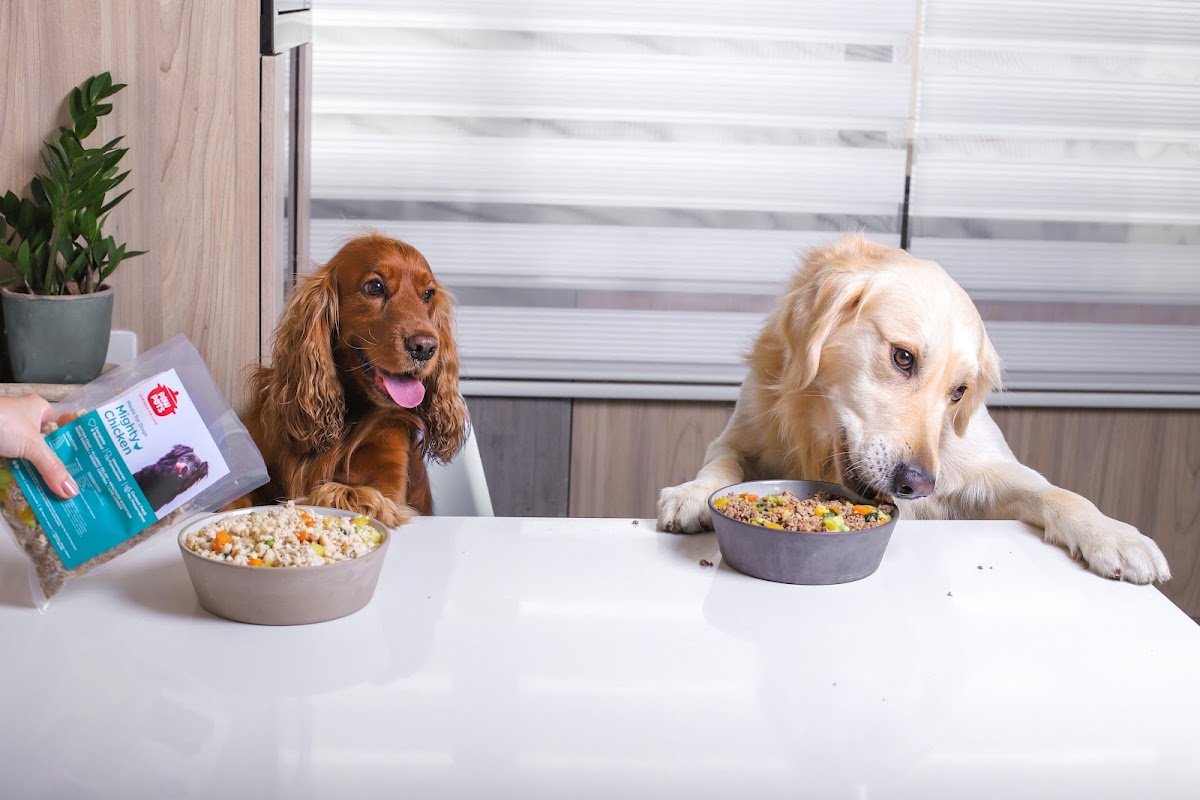 PawPots UAE