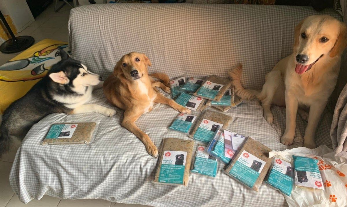 PawPots UAE 3