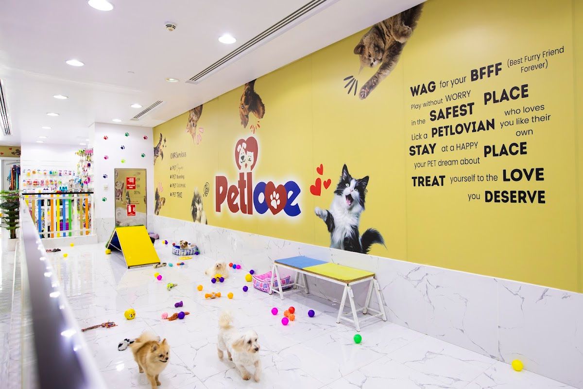 Petlove - Pet Grooming l Petshop l Daycare l Pet Boarding l Pet Taxi 3