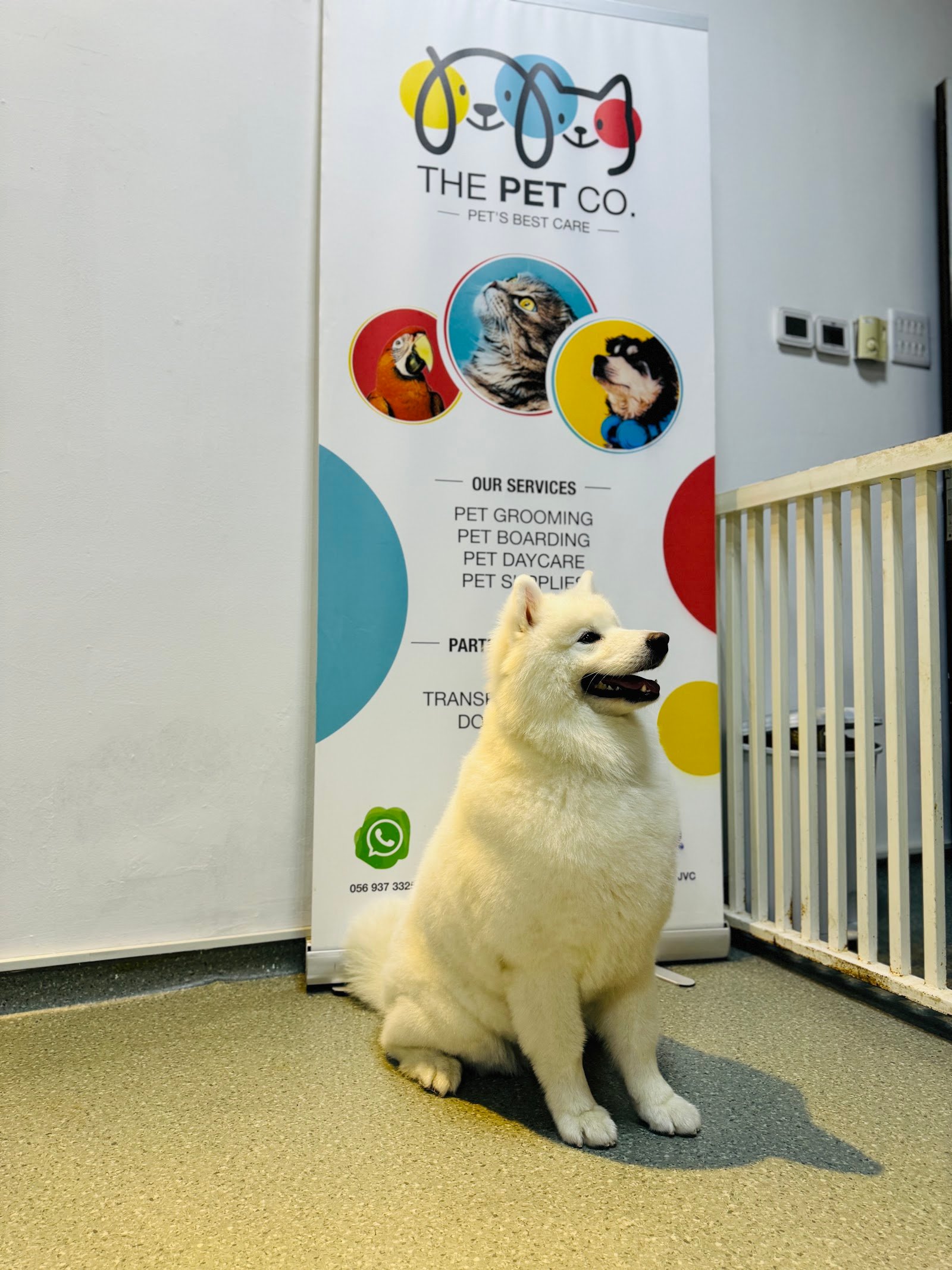 The Pet Co