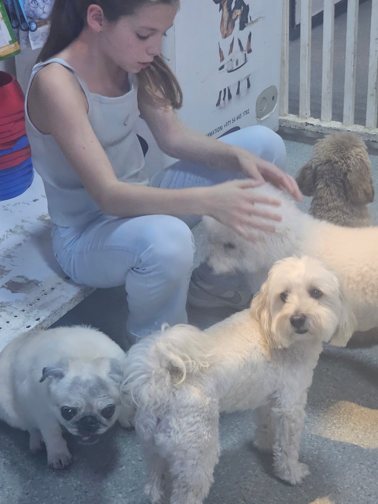 The Pet Co photo 3