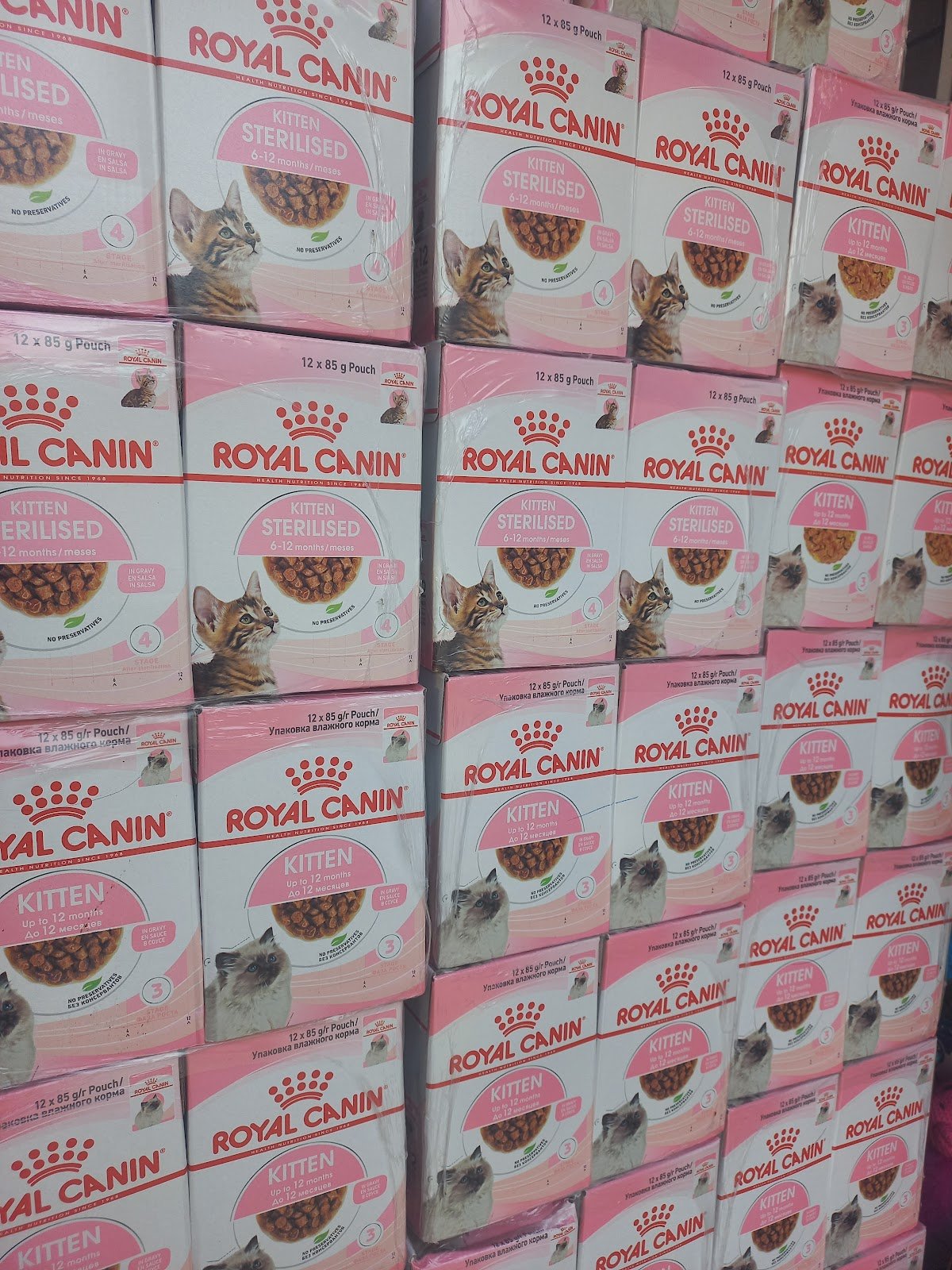 Iris Pet Animal Accessories photo 4